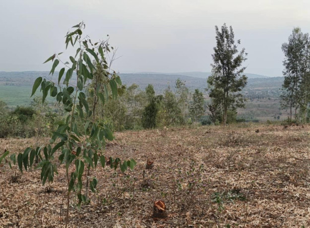 bugesera-plots-for-sale-in-kanzenze-big-8