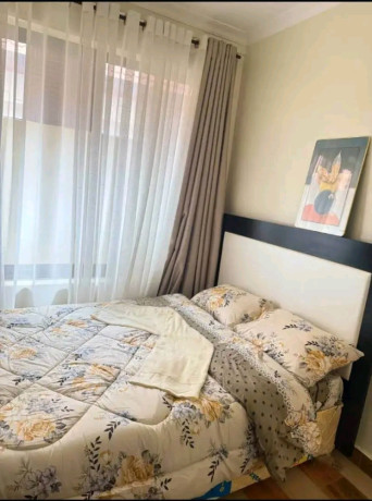 kimironko-furnished-2bedrooms-apartment-for-rent-in-good-location-big-3