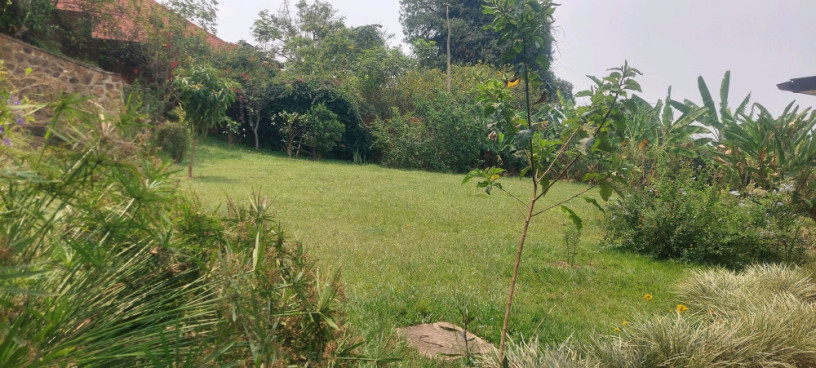kigali-furnished-house-available-for-rent-in-kiyovu-big-4