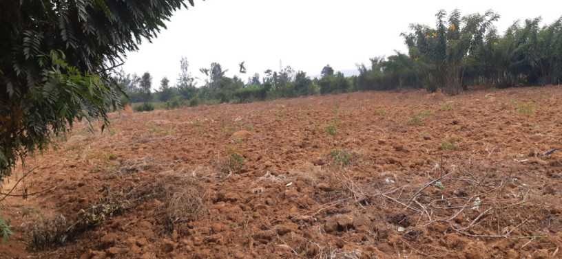 industrial-land-for-sale-in-bugesera-near-airport-of-rwanda-big-2