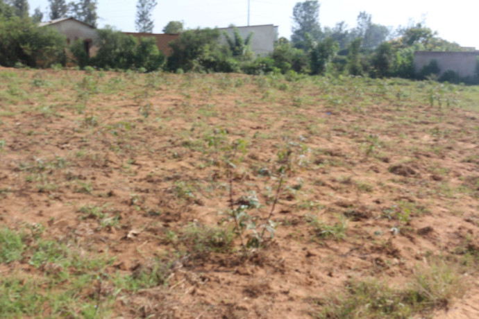 land-for-sale-in-bugesera-near-airport-of-rwanda-big-0