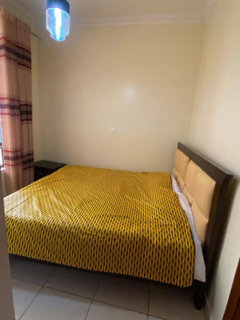 gacuriro-fully-furnished-apartment-for-rent-in-kigali-big-2