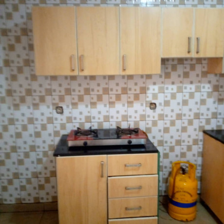 furnished-house-to-rent-big-10