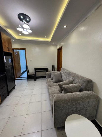 kigali-fully-furnished-apartment-for-rent-in-kimihurura-big-5