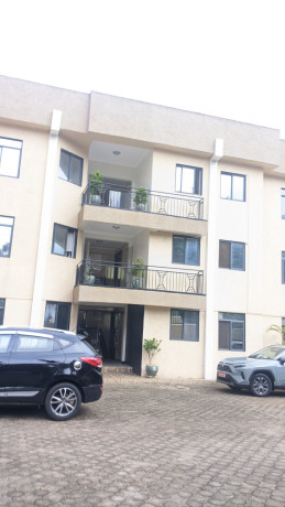 bs12-beautiful-furnished-apartment-for-rent-in-gacuriro-800month-big-12