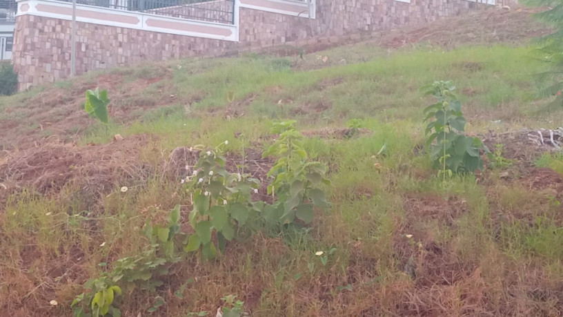kigali-2-different-plots-for-sale-in-rebero-big-9