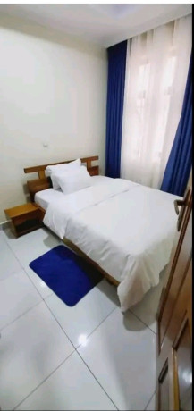 gacuriro-near-simba-center-1bed-1-bath-furnished-apartment-for-rent-in-kigali-big-4