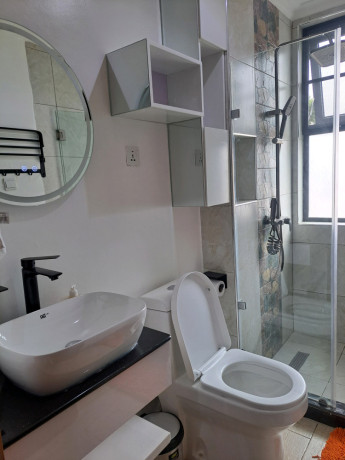 nyarutarama-furnished-apartment-for-rent-in-kigali-big-8