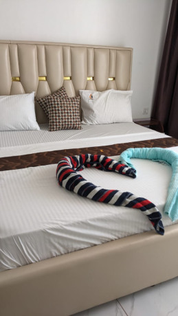 bb-010-kibagabaga-very-nice-furnished-apartment-for-rent-at-good-price-big-1