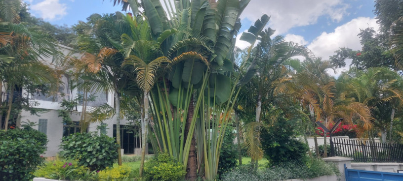 office-house-available-for-rent-at-kimihurura-big-2