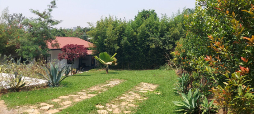 kigali-unfurnished-house-available-for-rent-in-kiyovu-big-7