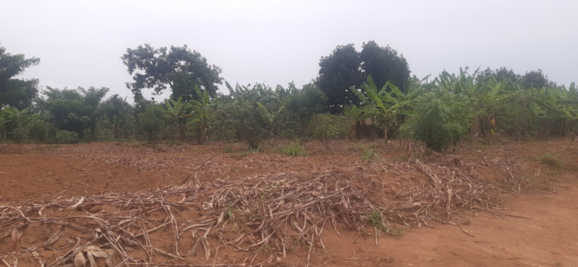 residential-plot-for-sale-in-nyarugenge-kigali-big-0