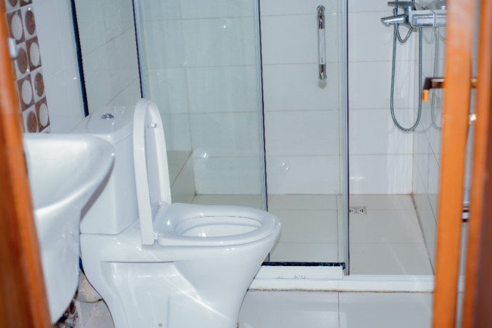 tb-006-kibagabaga-kibagabaga-nice-furnished-house-for-rent-big-14