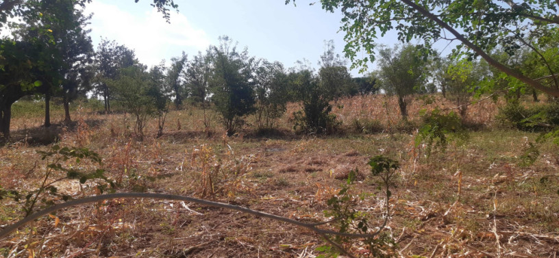 residential-land-for-sale-in-bugesera-mwogo-near-aiport-rwanda-big-1