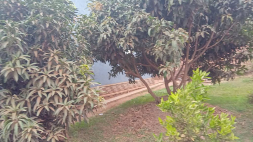 land-with-an-old-house-for-sale-big-7