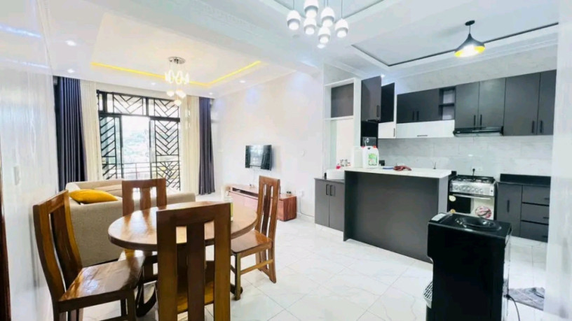kacyiru-near-us-embassy-fully-furnished-apartment-for-rent-big-3