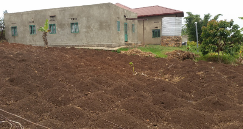 houses-in-a-hectare-of-land-for-sale-in-nyagatovu-mukarange-kayonza-factory-area-big-4