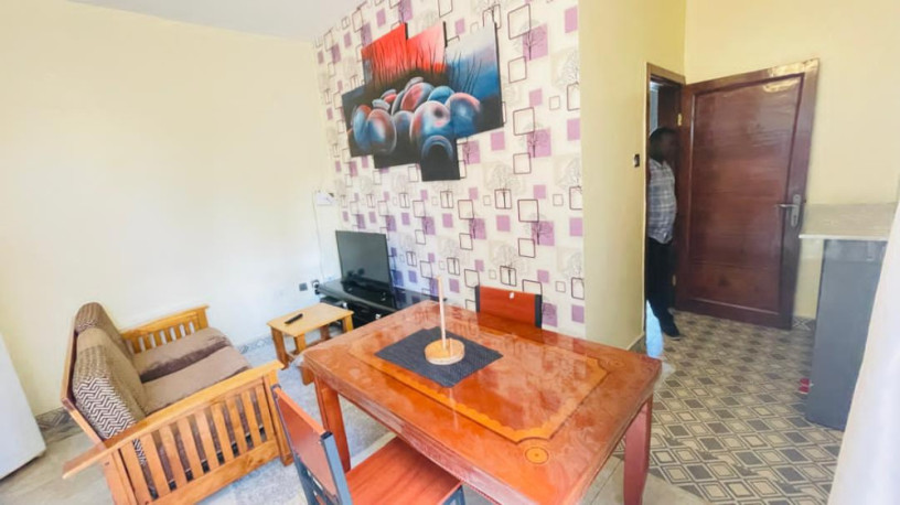 gishushu-fully-furnished-1bedroom-apartment-for-rent-at-500k350-in-good-location-big-1