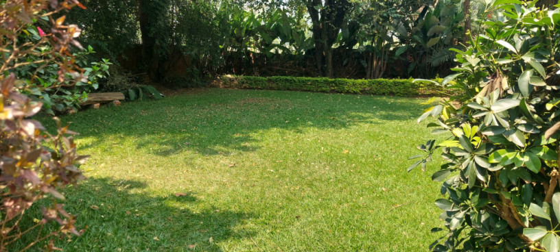 kigali-semi-furnished-house-available-for-rent-in-kiyovu-big-1