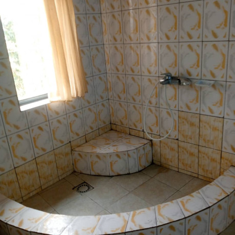 furnished-house-to-rent-big-13