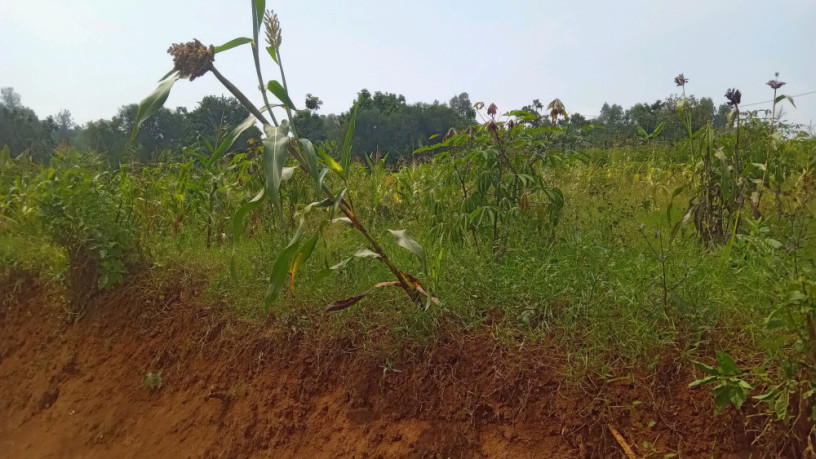 kigali-plot-for-sale-in-gahanga-kicukiro-big-1