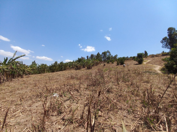 kinyinya-big-land-for-sale-big-10