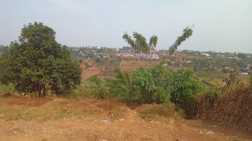 plot-for-sale-in-ndera-on-auctioncyamunara-big-2