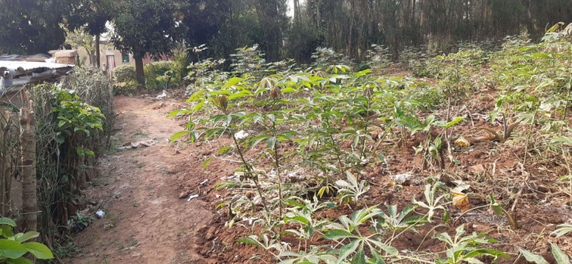 kigali-plot-for-sale-in-gacuriro-big-0