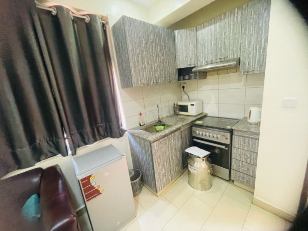remera-apartment-for-rent-in-kigali-big-2