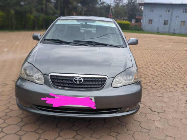 toyota-corolla-big-2