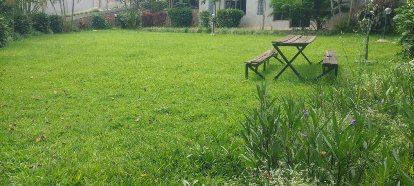 office-house-available-for-rent-at-kimihurura-big-4