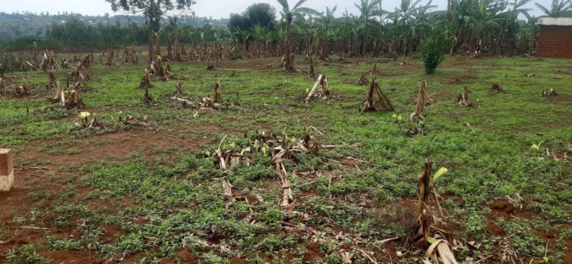 industial-land-for-sale-in-rulindo-on-main-road-big-1