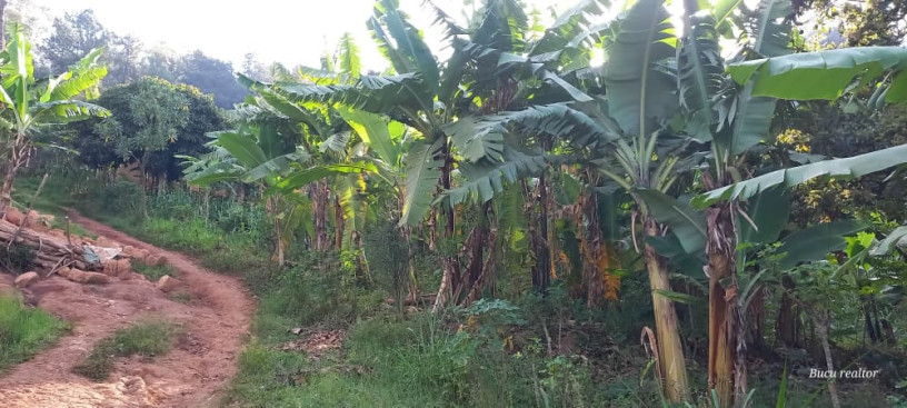 plot-for-sale-in-gisasa-atagood-place-big-2
