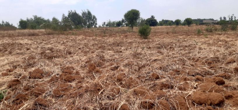 land-for-sale-in-bugesera-rilima-near-airport-of-rwanda-hot-deal-access-on-lake-big-2