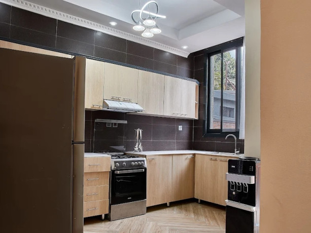 nyarutarama-beautiful-apartment-for-rent-in-good-neighborhood-big-2