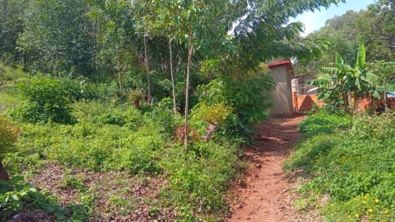 rebero-property-for-sale-big-9