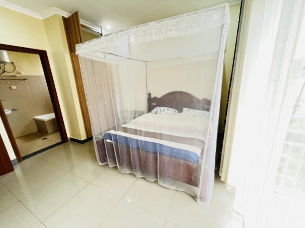 nyarutarama-fully-furnished-apartment-for-rent-in-kigali-big-2