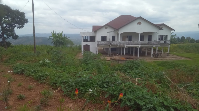 large-plot-for-sale-big-1