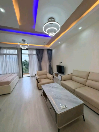 nyarutarama-furnished-23-bedrooms-apartment-for-rent-in-good-location-big-3