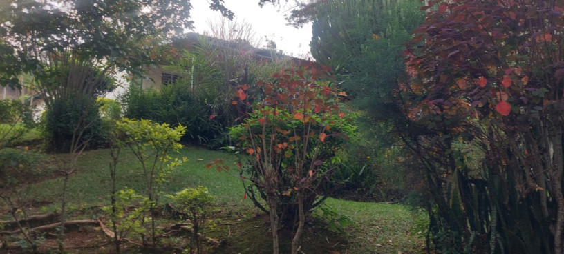 semi-furnished-bungalow-available-for-rent-at-kiyovu-big-3