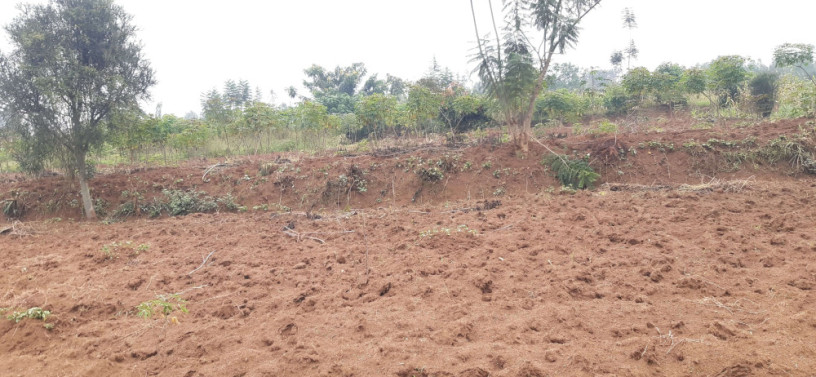 land-for-sale-in-bugesera-rilima-near-airport-of-rwanda-hot-deal-big-0