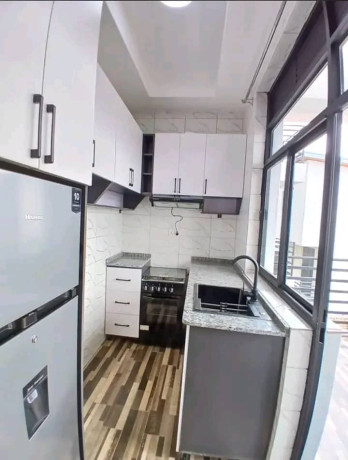 fully-furnished-house-for-rent-in-kibagabaga-big-0