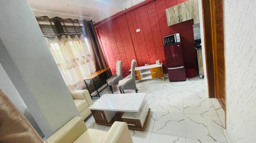 bk-16-nyarutarama-very-beautiful-and-amazing-full-furnished-apartment-available-for-rent-big-0
