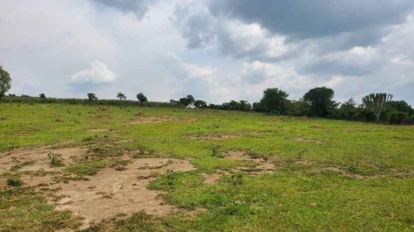 karangazi-big-land-for-sale-in-nyagatare-big-2