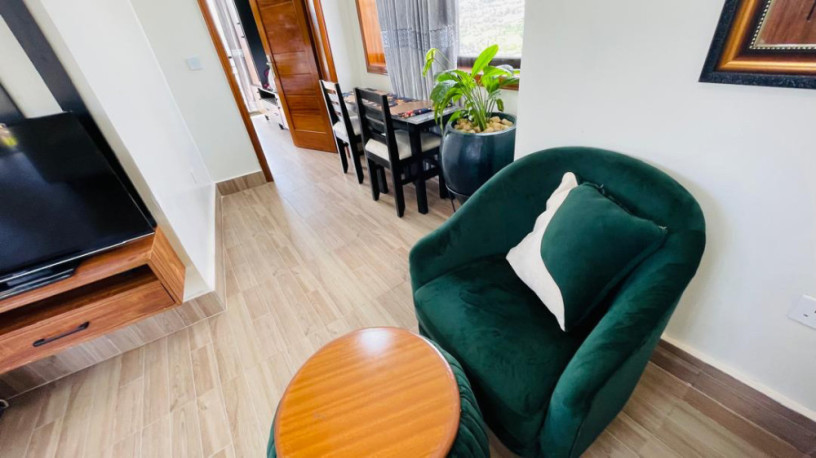 remera-fully-furnished-apartment-for-rent-in-kigali-big-2