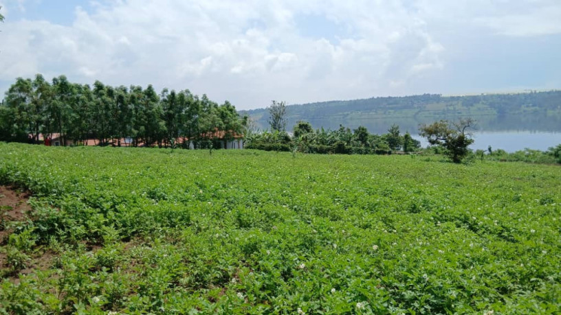 gatsibo-muhazi-plot-for-sale-big-11