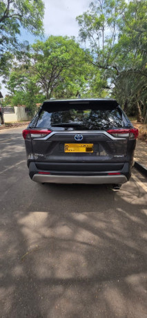 toyota-rav4-big-1