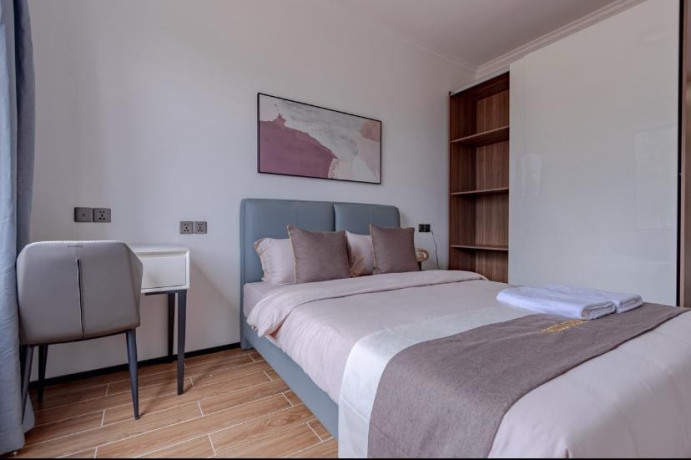 kimihurura-beautifully-furnished-apartment-for-rent-in-kigali-big-4