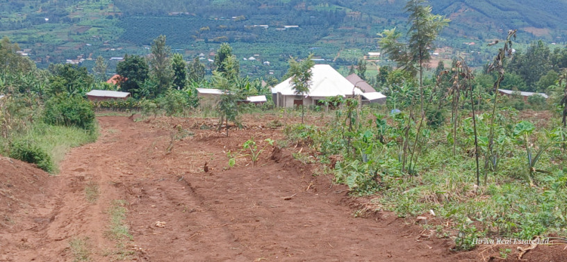 muyumbo-ntebe-plot-for-sale-big-3