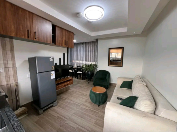this-is-beautifully-fully-furnished-apartments-for-rent-in-kibagabaga-big-0